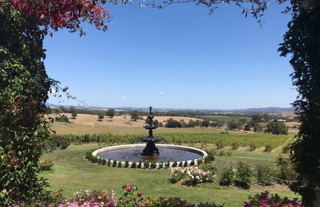 Outlook Hill Vineyard Cottages - Foto 37