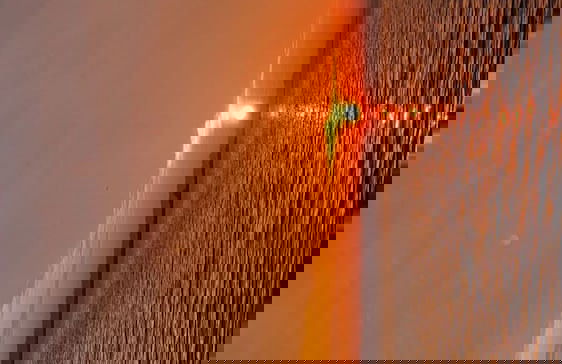 8 Pers Chalet Carla in Front of the Lauwersmeer and own Fishing Pier - Photo 26