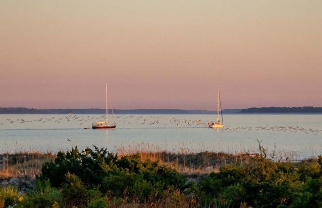 Lighthouse Point 33A by Tybee Vacation Rentals - Foto 45