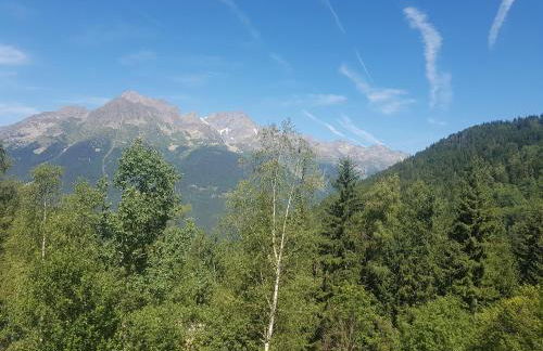 Appartement Le Pic Blanc - Foto 20