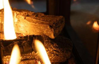 The Badger - Foto 38