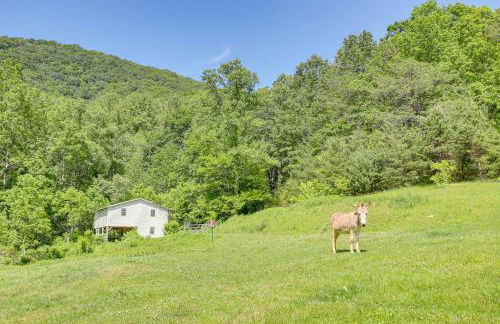 Mtn Views and Epic Sunsets Private Weaverville Home - Foto 31