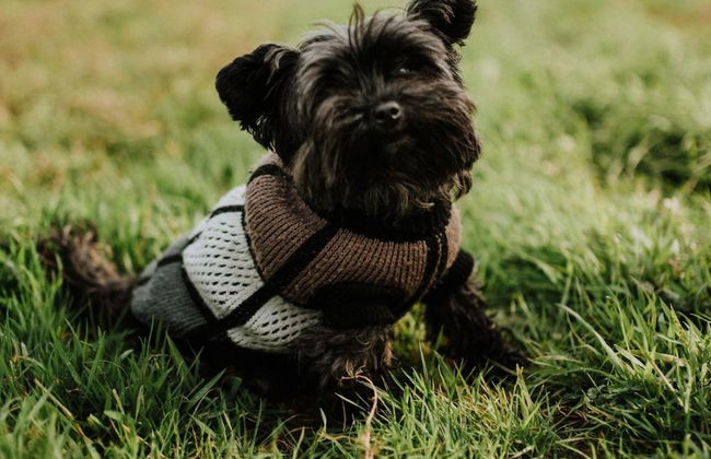 Posada Somavilla - Foto 9