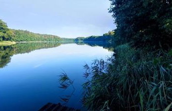 Domek letniskowy Nad Mrowinkiem - Foto 9