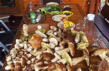 Dom Wakacyjny Letnisko - Foto 46