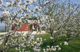 Tenuta Terre dei Latini - Foto 54