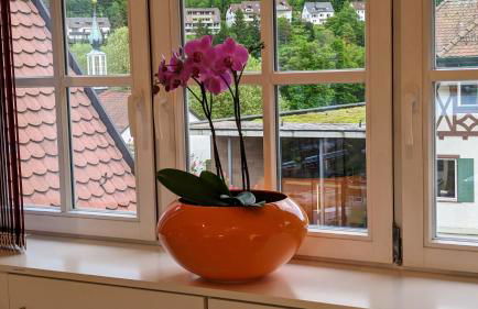 WOLKENFREI - ankommen und Zuhause fühlen - Apart-VL - Foto 42