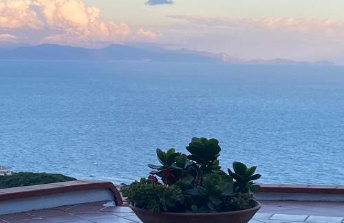 Ippocampo Blanc - Foto 49