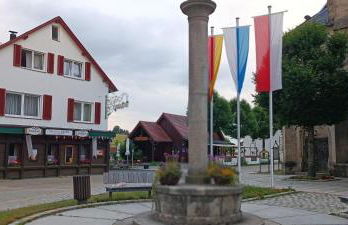 Landhotel Jägerhof Ferienwohnung - Foto 8