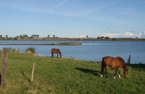 Insel- Bungalow auf Poel - Foto 50