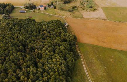 Dziki Las - domki na drzewach - Foto 78