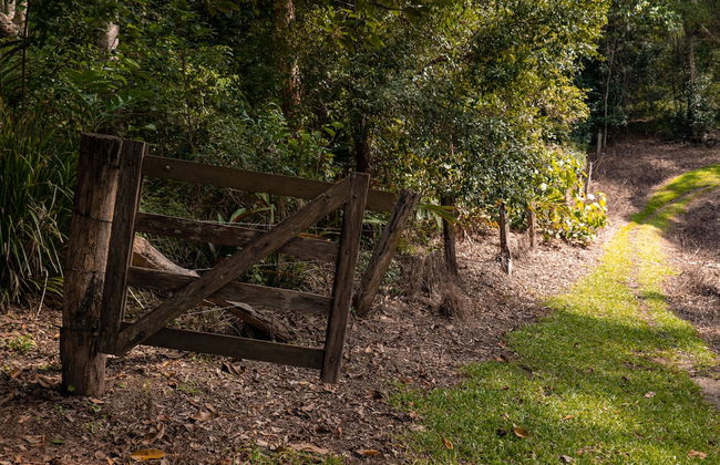 Whispering Valley Cottage Retreat - Photo 54