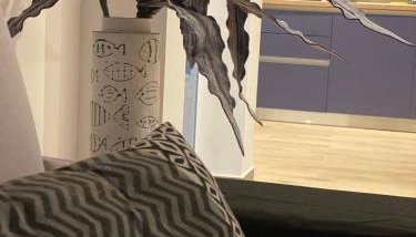 Marine's luxury home - Foto 2