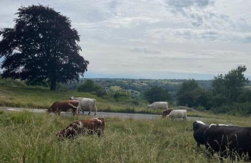 3 Bed in Stroud oc-89898 - Foto 54