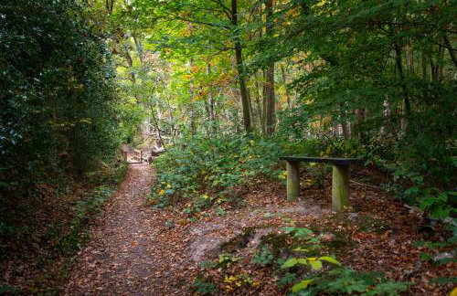 Amos Lodge Deluxe Accommodation - Photo 32