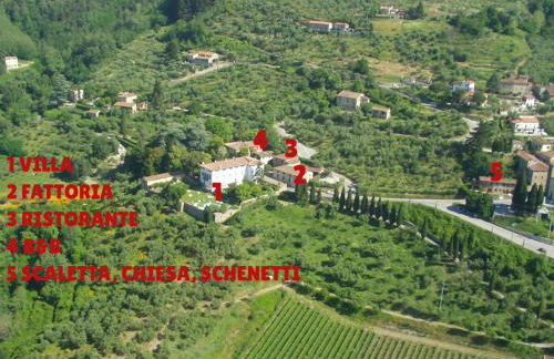 Fattoria Gambaro di Petrognano - Foto 48