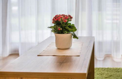 Haus zur Vogelweide App 1 - Foto 9