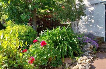 Golden Oasis - Foto 29