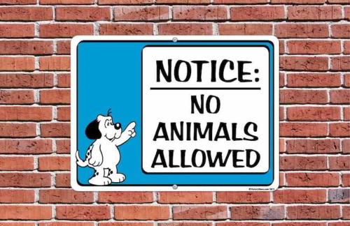 Uniklinikum und Messe Essen, Netflix, Wlan - Foto 21