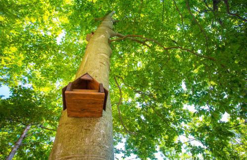 Holiday Home Vanda - Foto 27