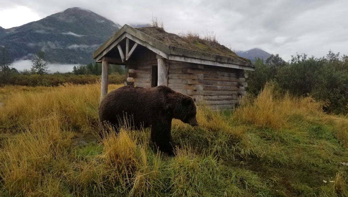 Beat at the wildlife center