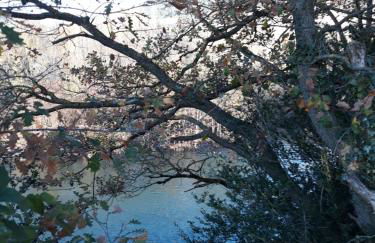 Le Paillier d'Etienne. - Photo 45