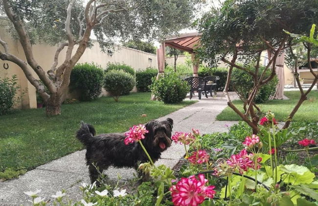 Affitacamere Domo - Mari e Luci - Foto 21