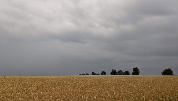 4 Person Holiday Home in Aeroskobing-by Traum - Photo 5