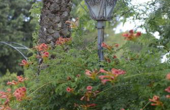 Villa Titì - Foto 35