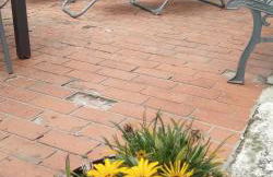 Le calme de la campagne à 10 minutes des plages - Photo 27