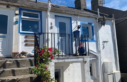 The Thin Seagull 4 Beacon Terrace Ferryden - Photo 39