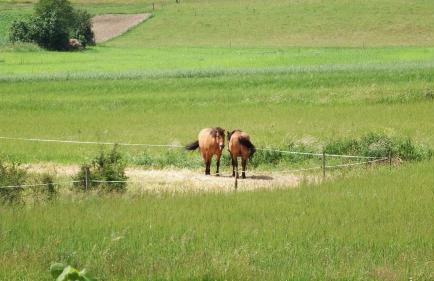 Mazurski Raj - Komfortowy dom nad jeziorem - Foto 55