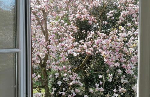 Maison Kobold XVIè siècle - Foto 13