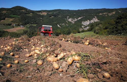 Agriturismo Il Mulino della Rocca - Photo 26