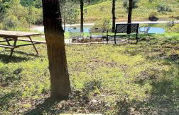 Deer Haven Cabin - Foto 55