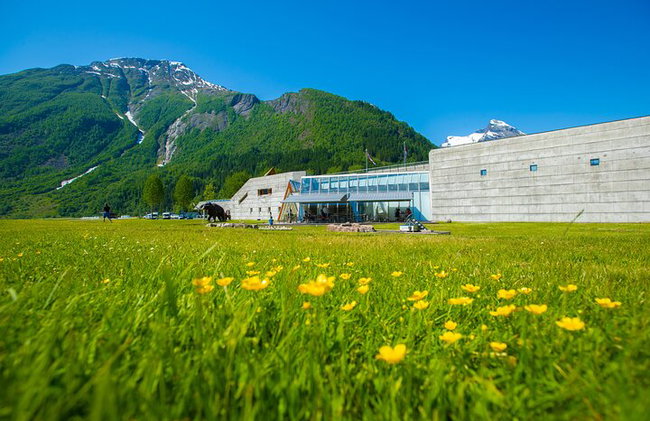 Guided Fjord & Glacier Tour - From BERGEN - Photo 6