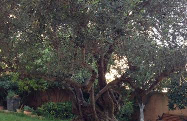 Villa Olivo Kampani - Foto 41