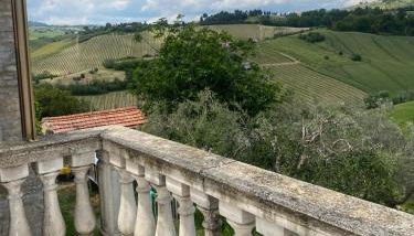 Countryhouse Gli Ulivi - Foto 2