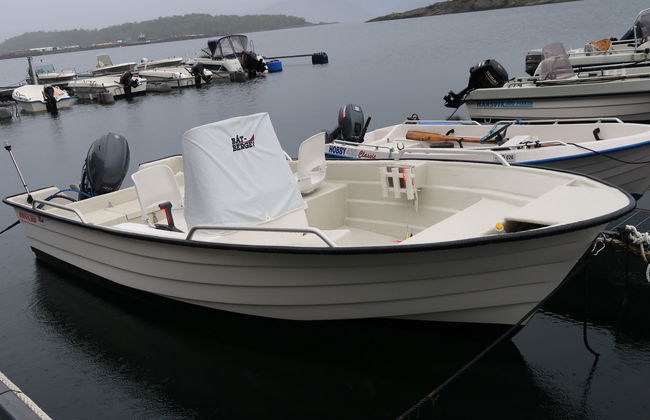 Greenhouse - Photo 30