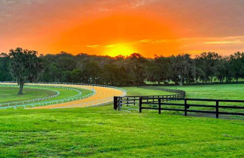 7 Mi to Paynes Prairie Preserve! Rural Retreat - Foto 3