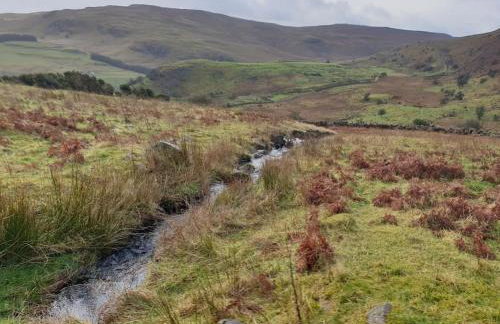 Bracken Cottage - Foto 28