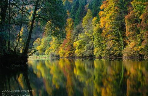 appartement montagne la vallée verte cœur station Hirmentaz - Foto 20