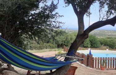 agriturismo gli olivastri appartamento raggio di sole , con piscina e vista mare ,climatizzatore,wifi - Photo 15