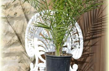 Ferienwohnung Gessert - Foto 20