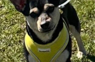 Hill View Studio - Foto 24