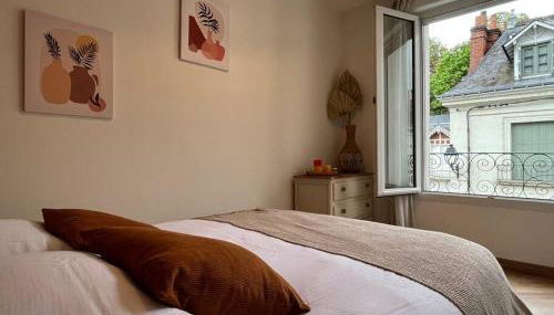 T3 cinéma - Centre historique, bord de Loire - Photo 2