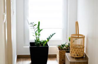 Apartmant Green Treasure - Foto 14