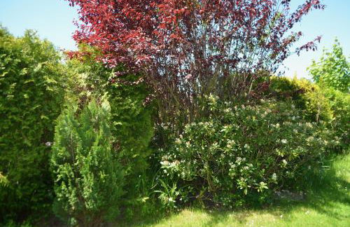 Yacht im Schiffehaus - Foto 20