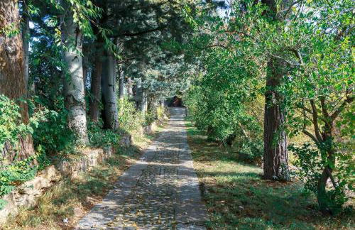Peñagorda, casa con vistas en Barco de Ávila - Photo 2