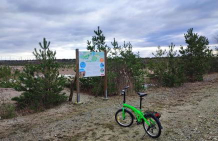 Holzhaus am Bergheider See - Foto 6